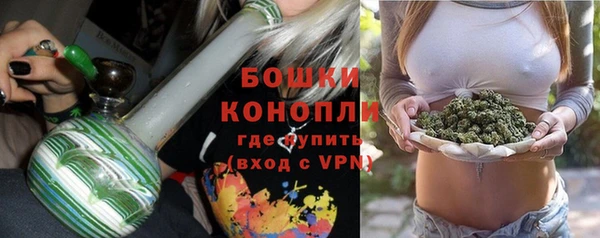 PSILOCYBIN Осташков