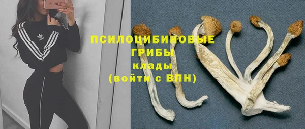 твердый Абаза