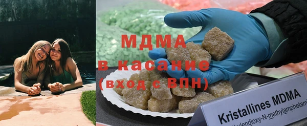 индика Апатиты