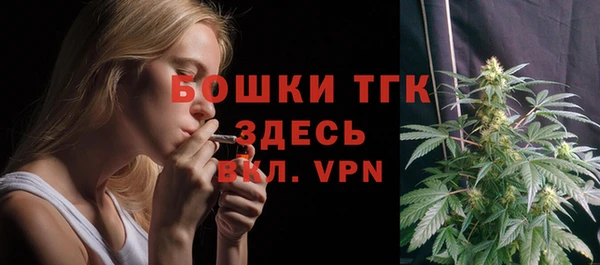 твердый Абаза