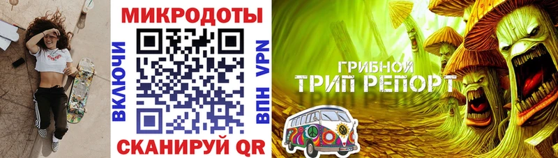 Псилоцибиновые грибы прущие грибы  где продают   гидра онион  Галич 