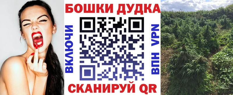 mega ТОР  Галич  Шишки марихуана Amnesia  цены  